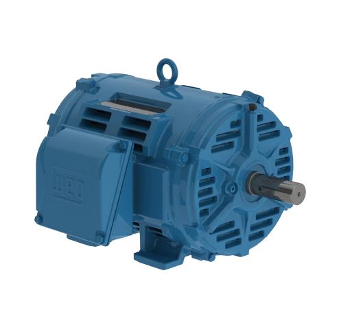 05036OT3E324TS por WEG