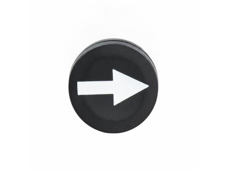ZB6YA316 door SCHNEIDER ELECTRIC