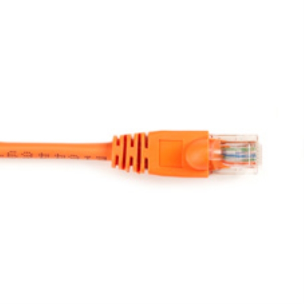 BLACK BOX CORP CAT6PC-003-OR-5PAK