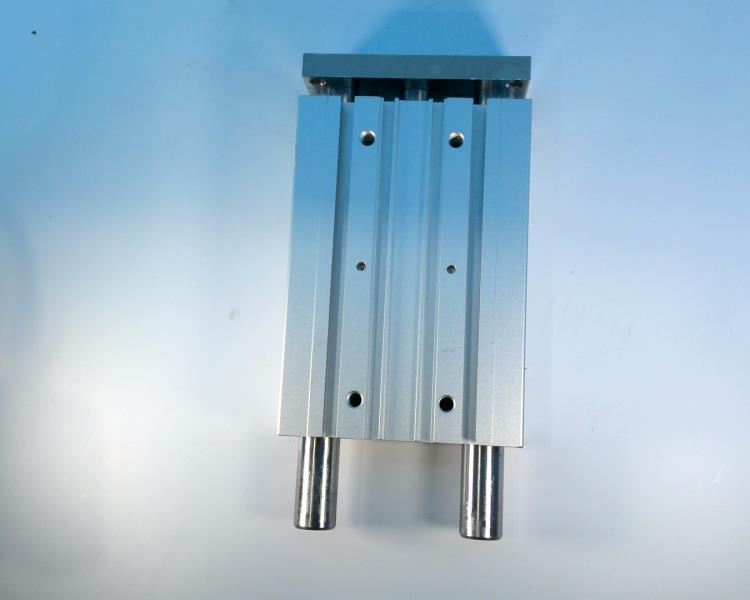 SMC 20-MGPM32-125-Y7BWL