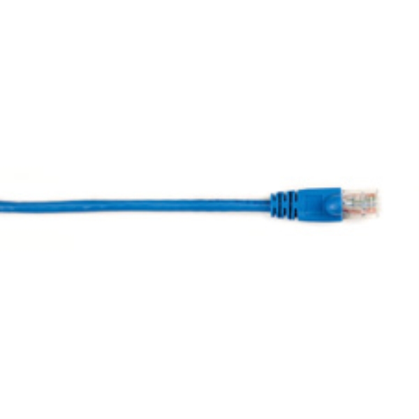 BLACK BOX CORP CAT6PC-002-BL-5PAK