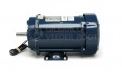 GILBARCO F37696