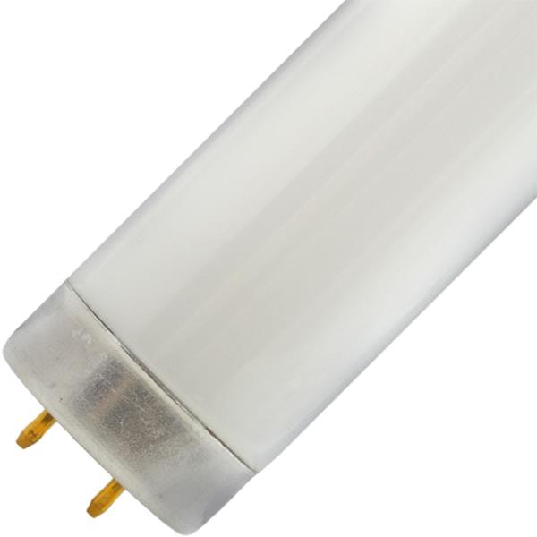 PHILIPS F40CW/RS/EW/ALTO