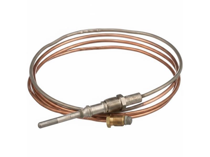 K19AT60 par JOHNSON CONTROLS