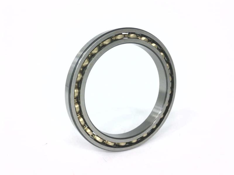 SKF 61813
