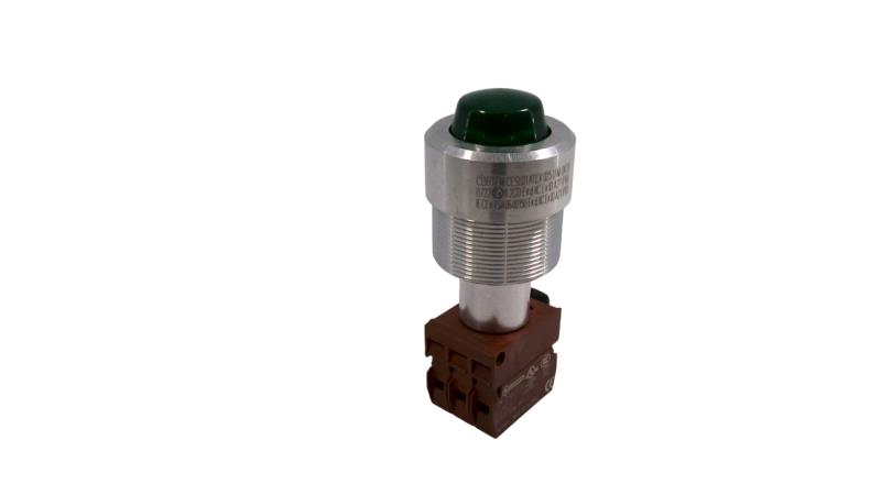 CORTEM GROUP M-0428/V