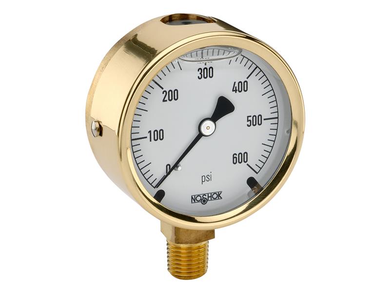 25-300-1500-PSI/KG/CM2-SST par NOSHOK