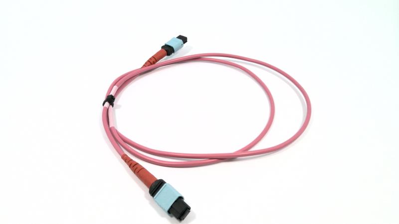 FS 24FMTPOM4