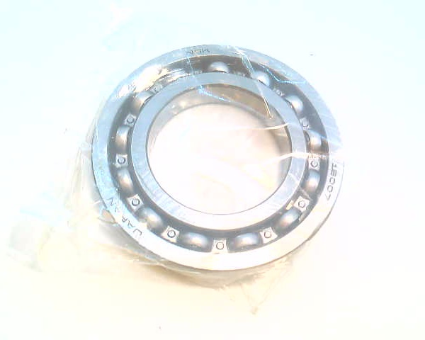 NSK 16007