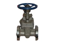 HB25B-300-2 by FNW VALVE CORP