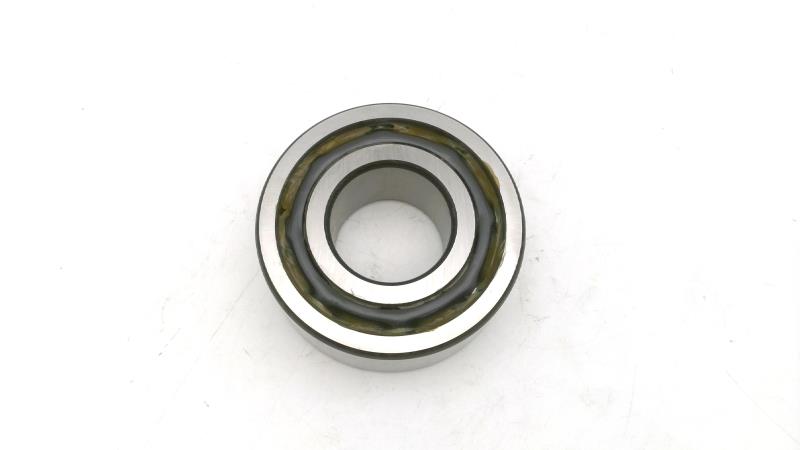 SCHAEFFLER GROUP 3309BC.JH