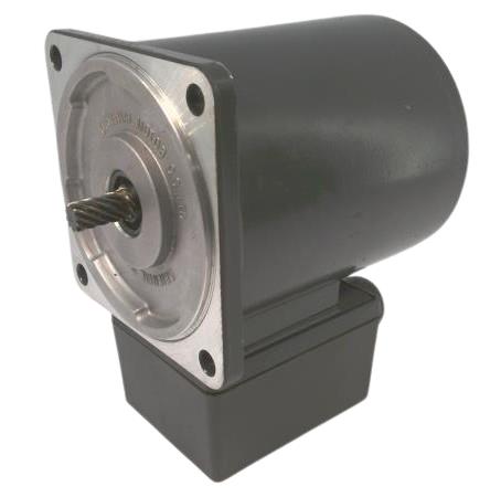 ORIENTAL MOTOR 5IK40GN-ET4