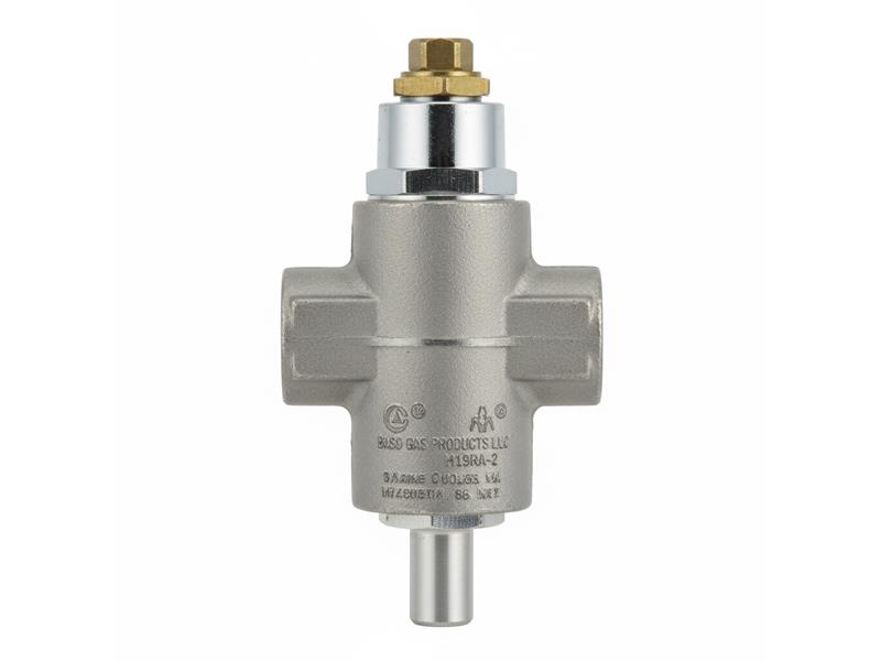 H19RA-2 par BASO GAS PRODUCTS LLC