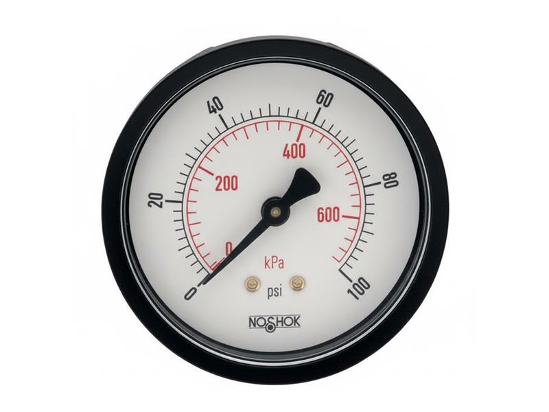 NOSHOK 25-110-100-PSI/KPA-SSB-BP3-CC