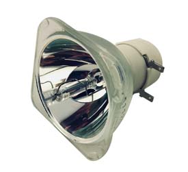 8755J-SUB (BARE LAMP ONLY) por RADWELL VERIFIED SUBSTITUTE