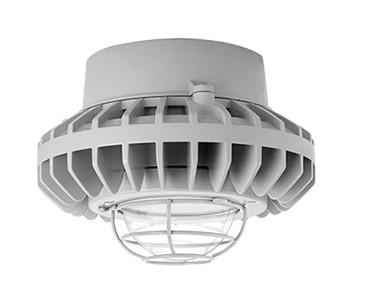HAZPLED42C-G par RAB LIGHTING