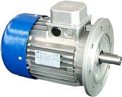 MOTORI ELETTRICI TN80A/4