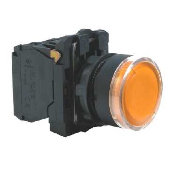 SCHNEIDER ELECTRIC XB5AW35B5