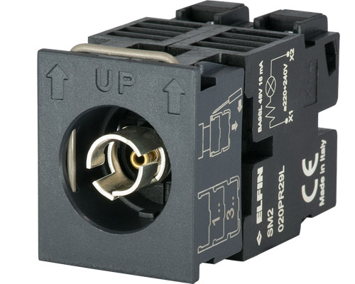 020PR29L door NEW ELFIN