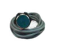 BAUMER ELECTRIC IFRM 30P1601/L