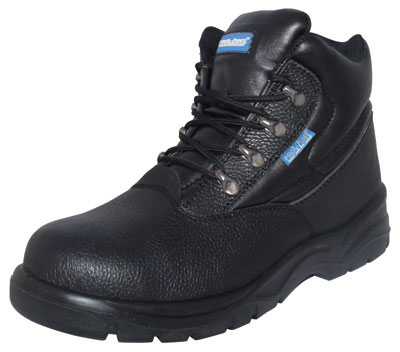 PRO SAFE INC VSF-21012M