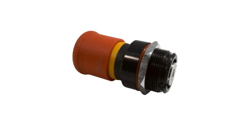 CORTEM GROUP M-0605/P