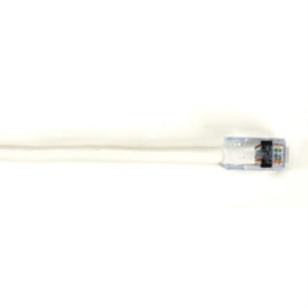 EYN916MS-0100 by BLACK BOX CORP