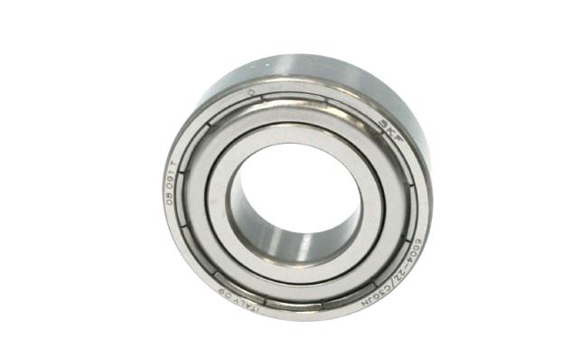 SKF 6004-2Z/C3GJN
