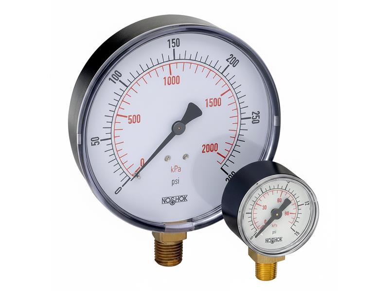 NOSHOK 25-100-CHROME-CASE