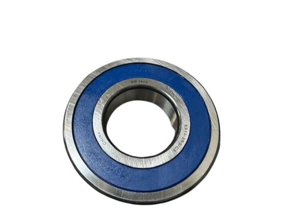 RBI BEARING 6313-2RS/C3 P01
