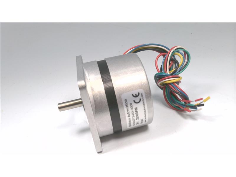 ANAHEIM AUTOMATION BLWS231S-24V-2000