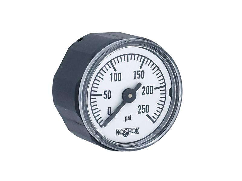 NOSHOK 10-110-250-PSI