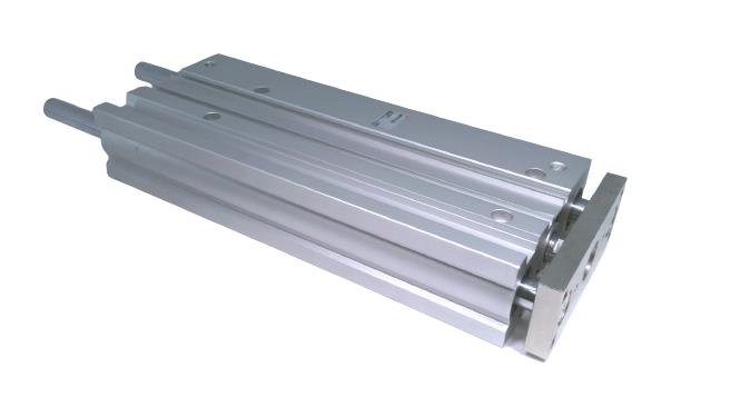MGPL40-250 par SMC