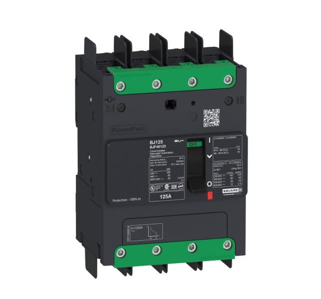 SCHNEIDER ELECTRIC BGF46060