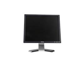 DELL E176FPB