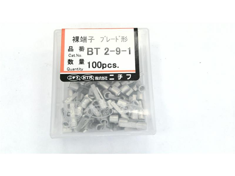 BT2-9-1 por NICHIFU