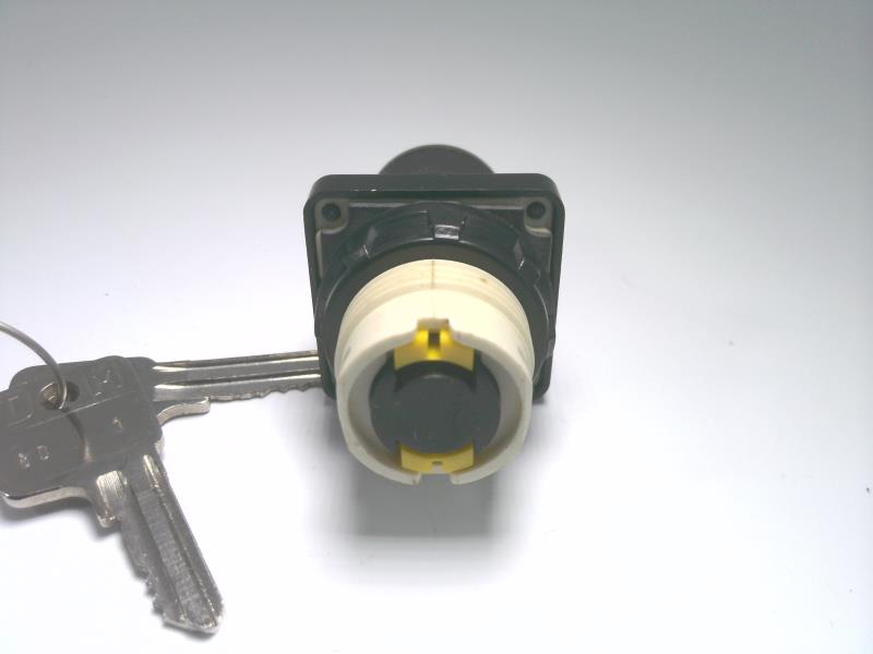 SCHNEIDER ELECTRIC 9001-D1L30