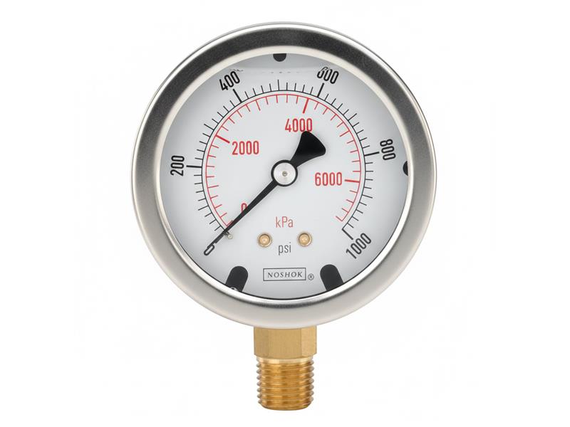 NOSHOK 25-04M-M-02M-2F