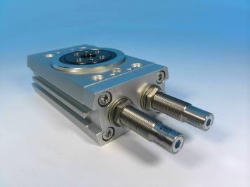 FESTO DRRD-20-180-FH-Y9A