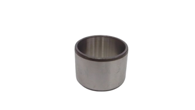 SCHAEFFLER GROUP IR25X29X20-XL