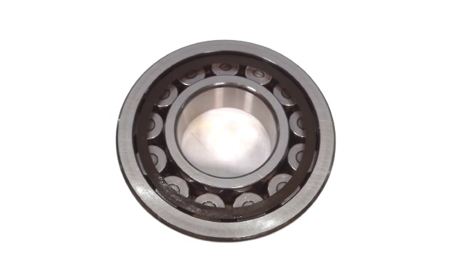 SKF NJ-309-ECP