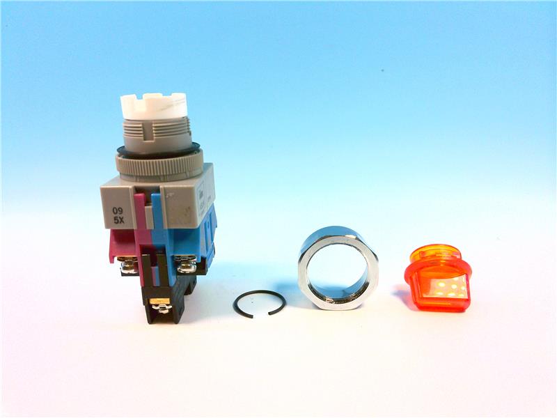 IDEC ASLW319911D-203-A-120V