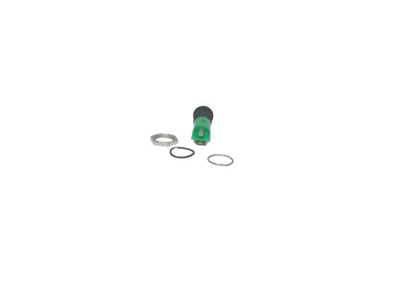 APEM COMPONENT Q14P1BXXG110E