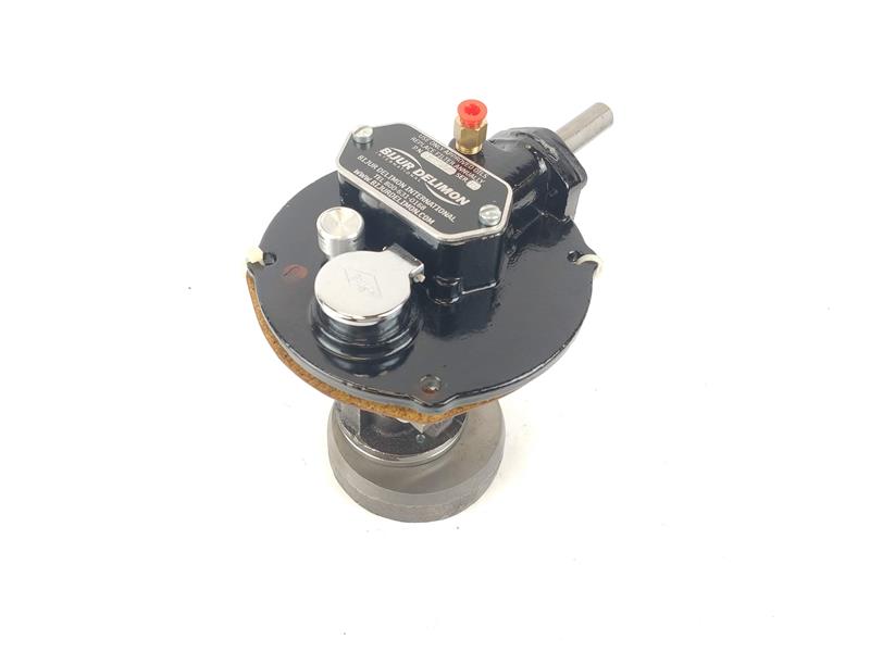 BIJUR DELIMON D2235
