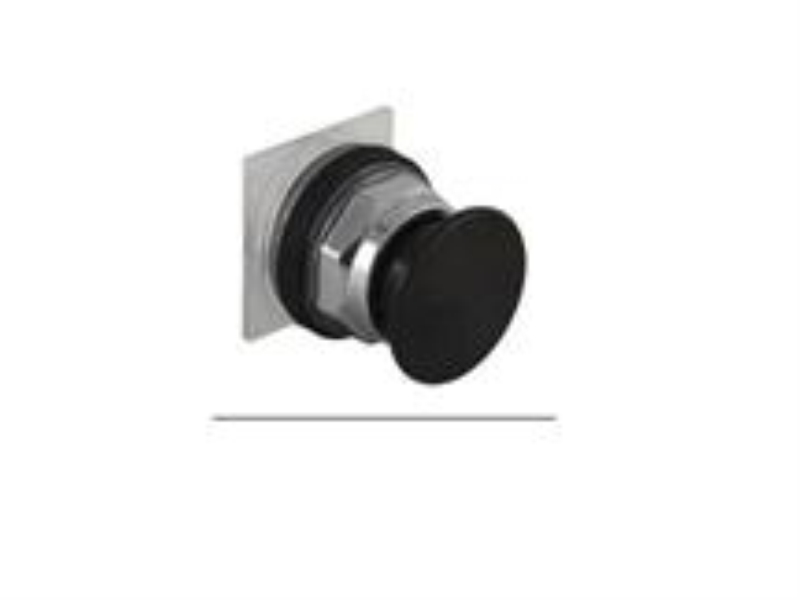 SCHNEIDER ELECTRIC 9001KR24BM