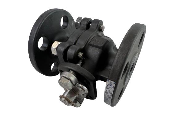 FNW VALVE CORP 601-150-1/2