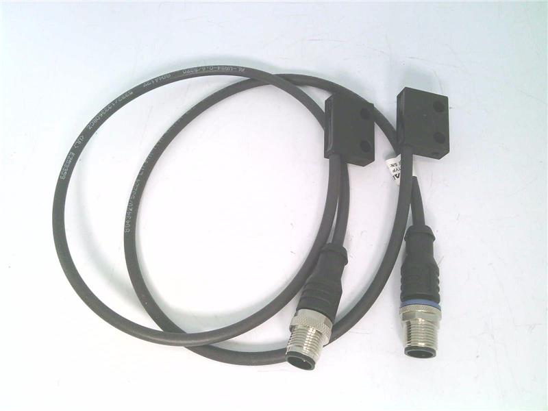 BOS R060M-PO-IX10-00,6-S4 por BALLUFF