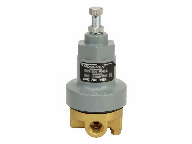 R83-200-RNEA by NORGREN