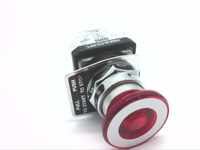 SUNS INTERNATIONAL PBM30ESRP1