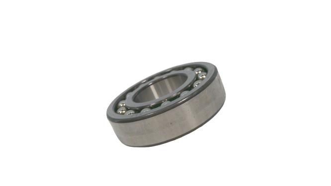 SKF 1206-ETN9